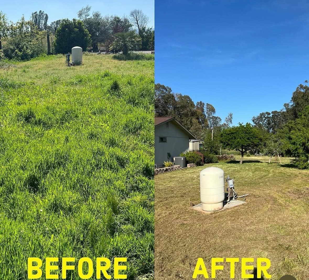 Before and after collage of a grassy overgrown yard cleared and cut back around a home.